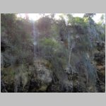 10Boca De Yuma_0284.JPG